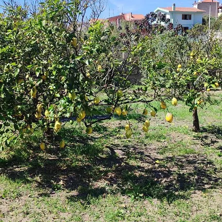 Casa vacanze Garden Relais *